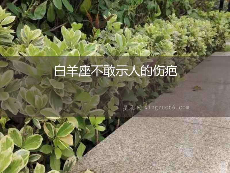 白羊座不敢示人的傷疤