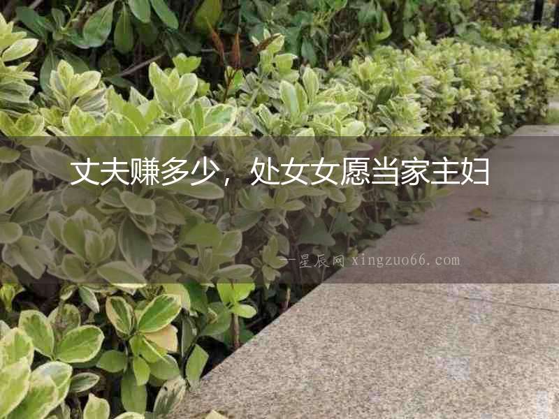丈夫賺多少，處女女愿當(dāng)家主婦