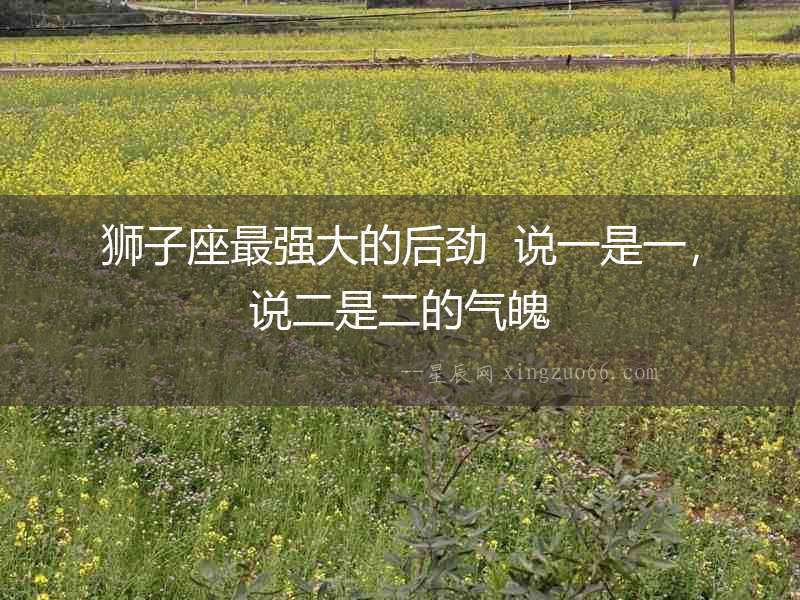 獅子座最強大的后勁  說一是一，說二是二的氣魄