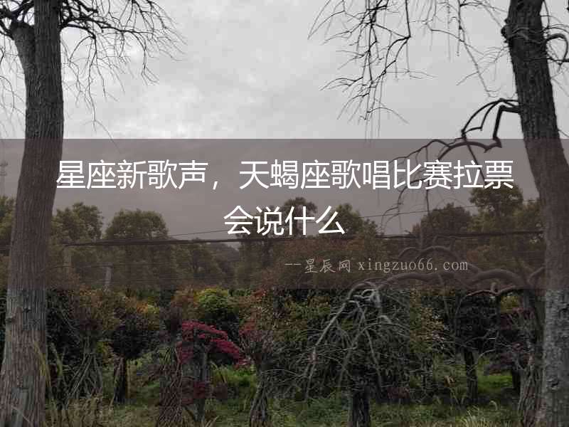 星座新歌聲，天蝎座歌唱比賽拉票會說什么