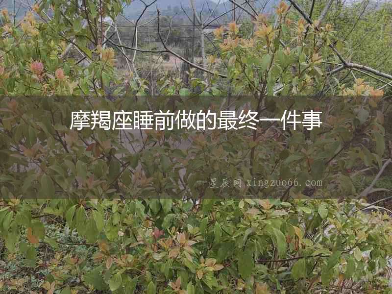 摩羯座睡前做的最終一件事
