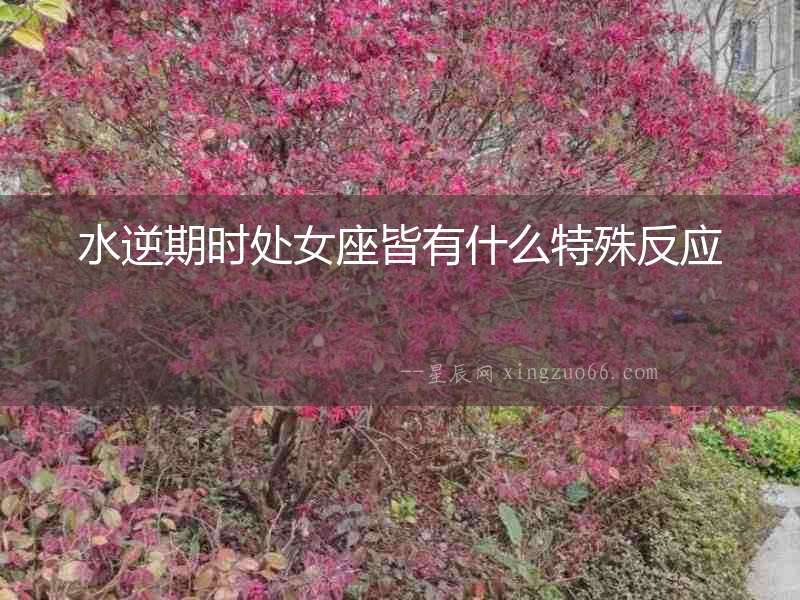 水逆期時(shí)處女座皆有什么特殊反應(yīng)