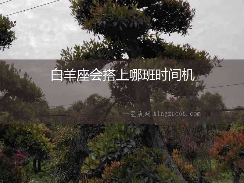白羊座會搭上哪班時間機