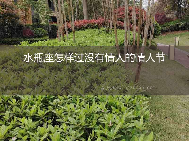 水瓶座怎樣過沒有情人的情人節(jié)