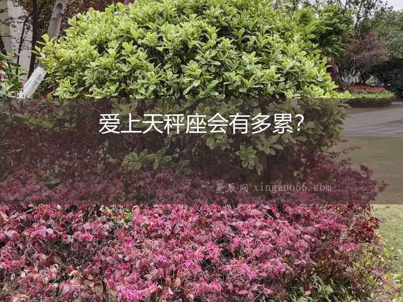 愛上天秤座會有多累？