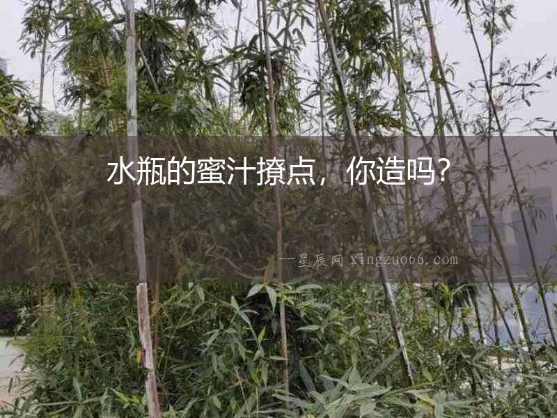 水瓶的蜜汁撩點，你造嗎？