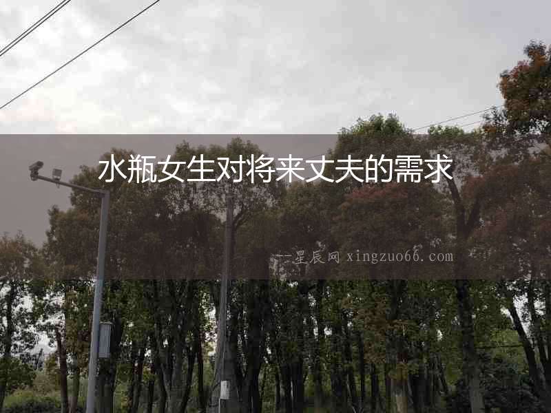水瓶女生對(duì)將來丈夫的需求