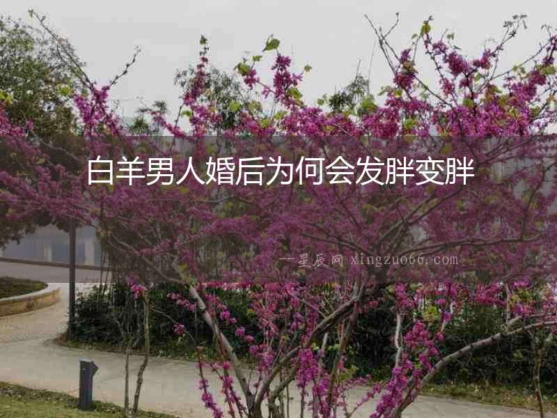 白羊男人婚后為何會(huì)發(fā)胖變胖