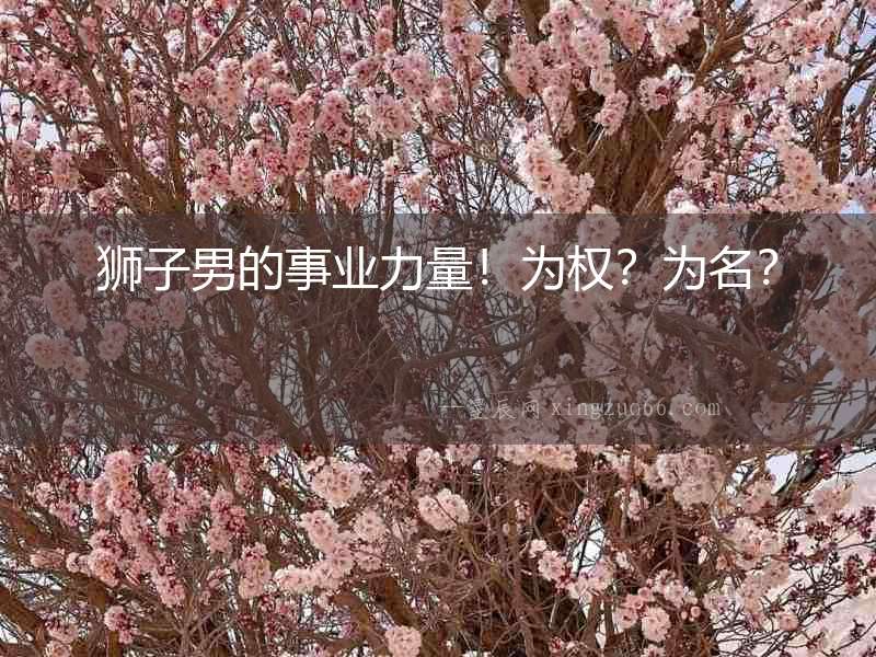 獅子男的事業力量！為權？為名？