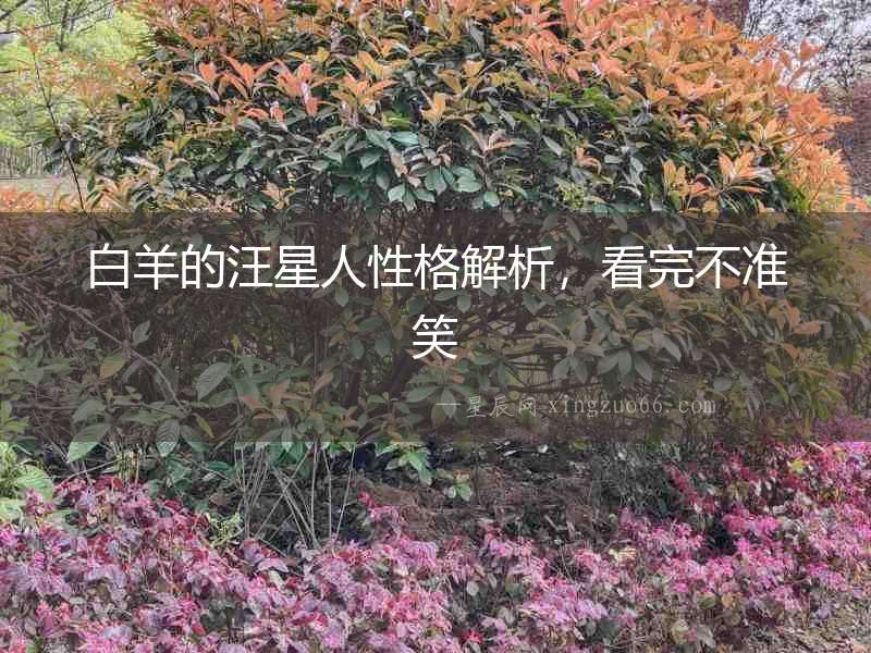 白羊的汪星人性格解析，看完不準笑