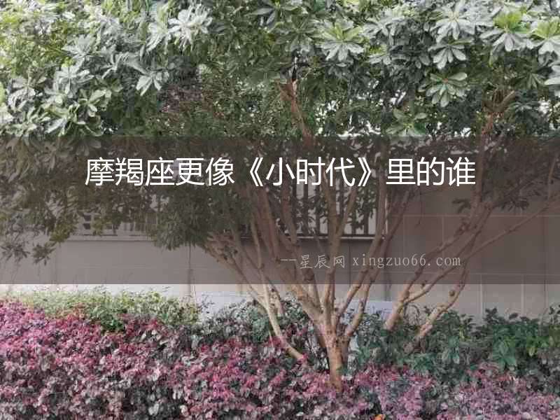摩羯座更像《小時代》里的誰