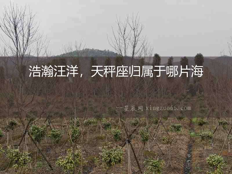 浩瀚汪洋，天秤座歸屬于哪片海