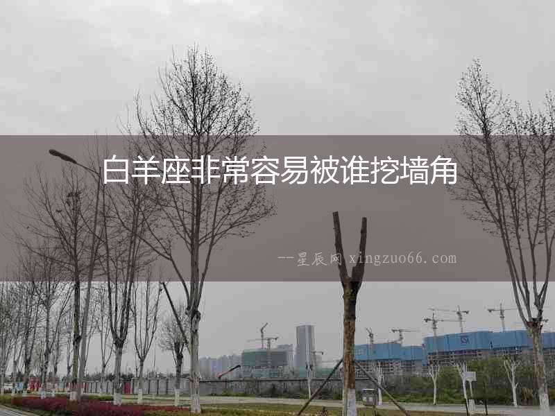 白羊座非常容易被誰挖墻角