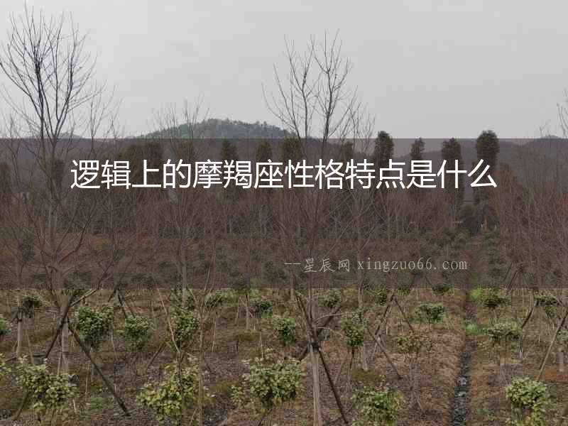 邏輯上的摩羯座性格特點(diǎn)是什么
