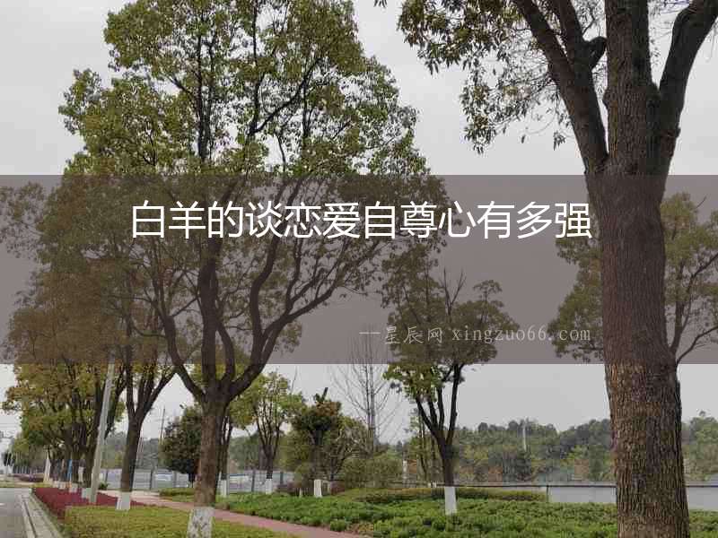 白羊的談戀愛自尊心有多強