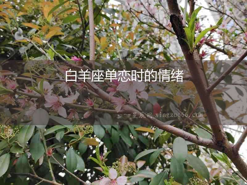 白羊座單戀時(shí)的情緒