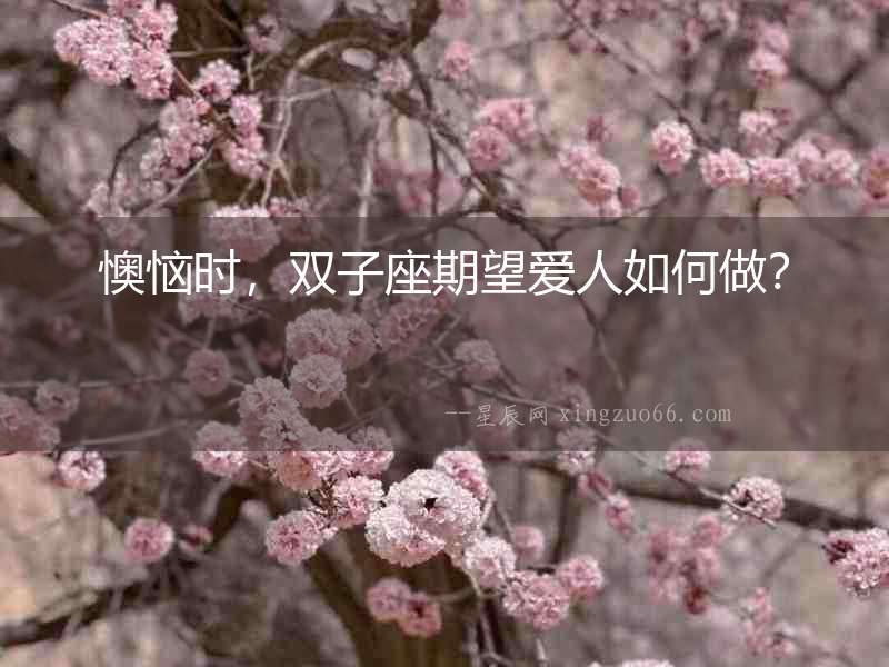 懊惱時，雙子座期望愛人如何做？