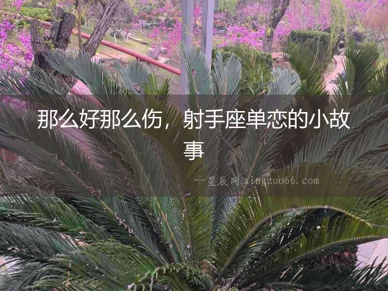 那么好那么傷，射手座單戀的小故事