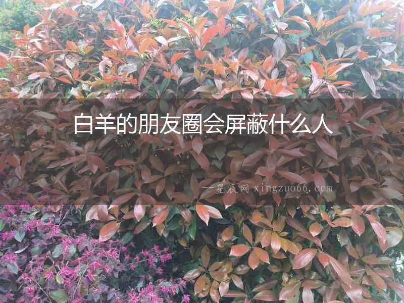 白羊的朋友圈會屏蔽什么人