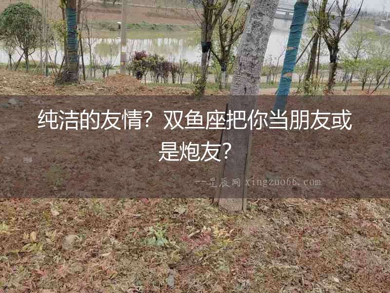 純潔的友情？雙魚座把你當(dāng)朋友或是炮友？