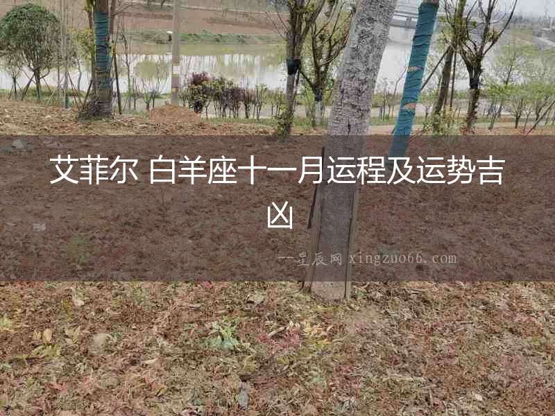 艾菲爾 白羊座十一月運(yùn)程及運(yùn)勢(shì)吉兇