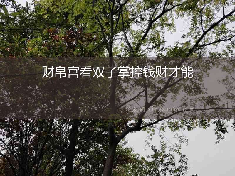 財帛宮看雙子掌控錢財才能