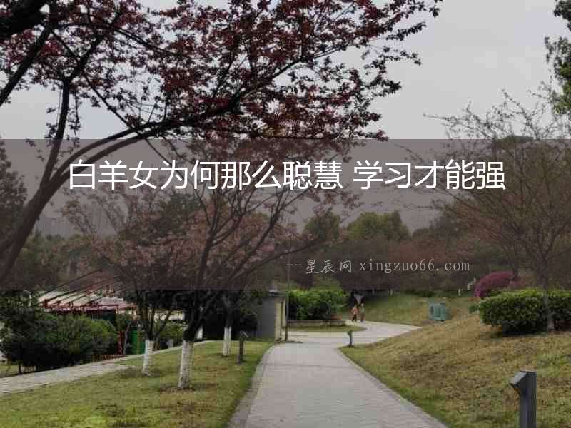 白羊女為何那么聰慧 學(xué)習(xí)才能強(qiáng)