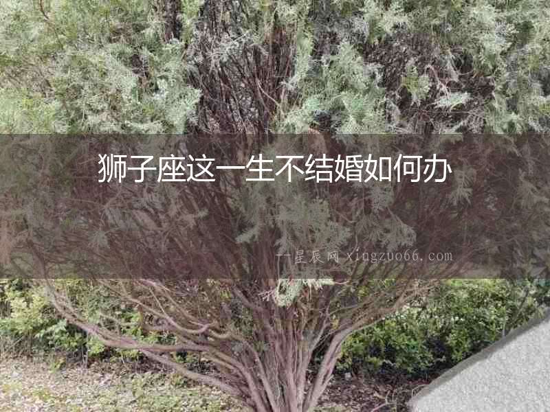 獅子座這一生不結婚如何辦
