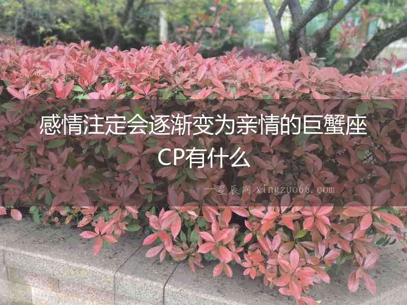 感情注定會(huì)逐漸變?yōu)橛H情的巨蟹座CP有什么