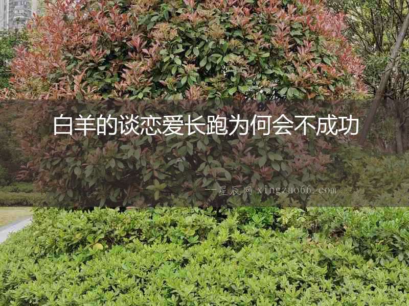 白羊的談戀愛長跑為何會不成功