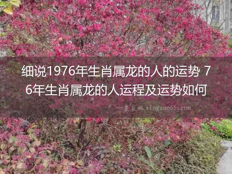細說1976年生肖屬龍的人的運勢 76年生肖屬龍的人運程及運勢如何