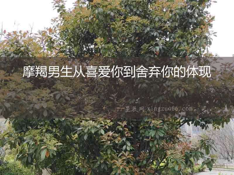 摩羯男生從喜愛你到舍棄你的體現
