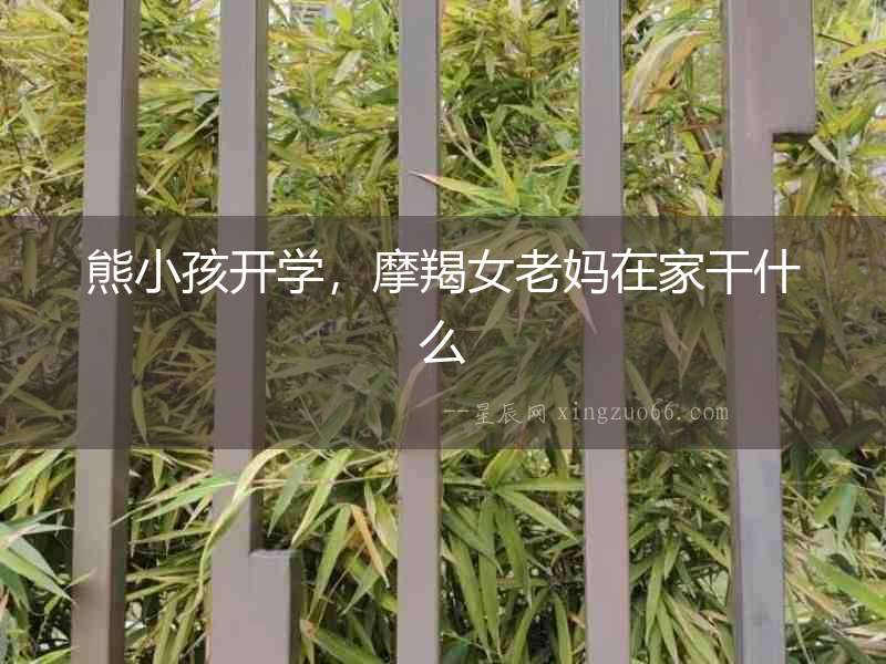 熊小孩開學，摩羯女老媽在家干什么