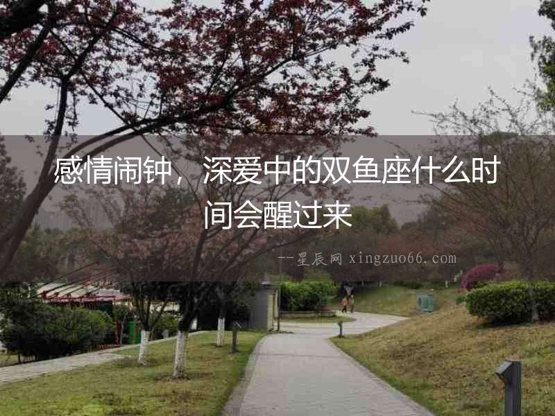 感情鬧鐘，深愛中的雙魚座什么時間會醒過來
