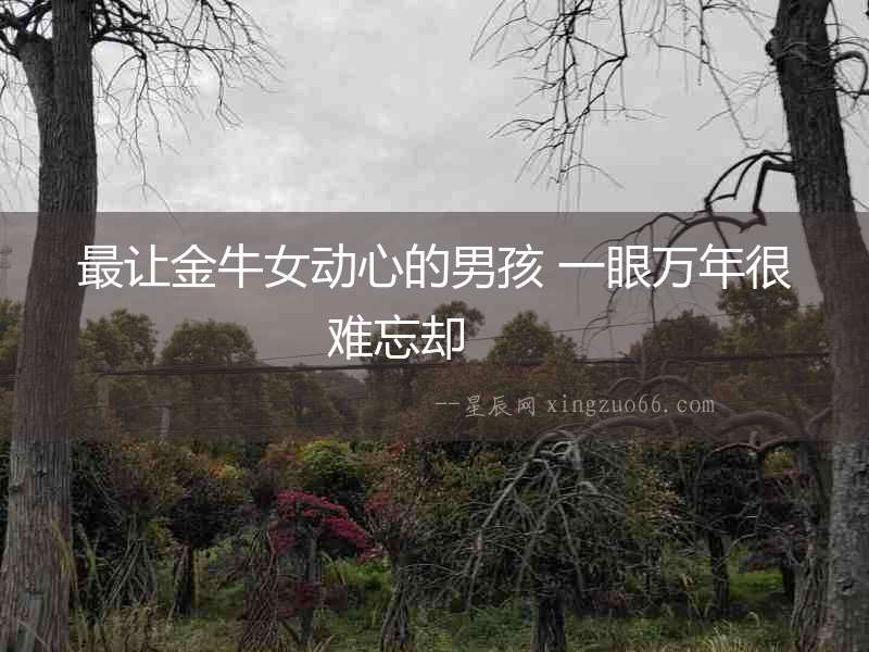 最讓金牛女動心的男孩 一眼萬年很難忘卻  　　