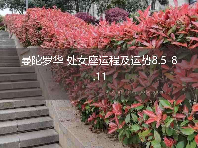 曼陀羅華 處女座運(yùn)程及運(yùn)勢(shì)8.5-8.11