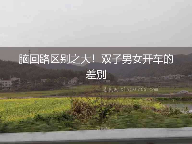 腦回路區別之大！雙子男女開車的差別