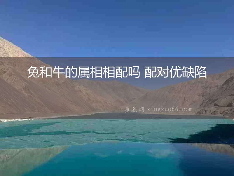 兔和牛的屬相相配嗎 配對優缺陷