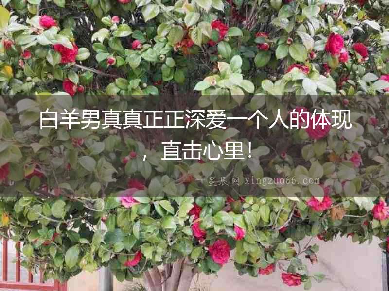 白羊男真真正正深愛一個(gè)人的體現(xiàn)，直擊心里！