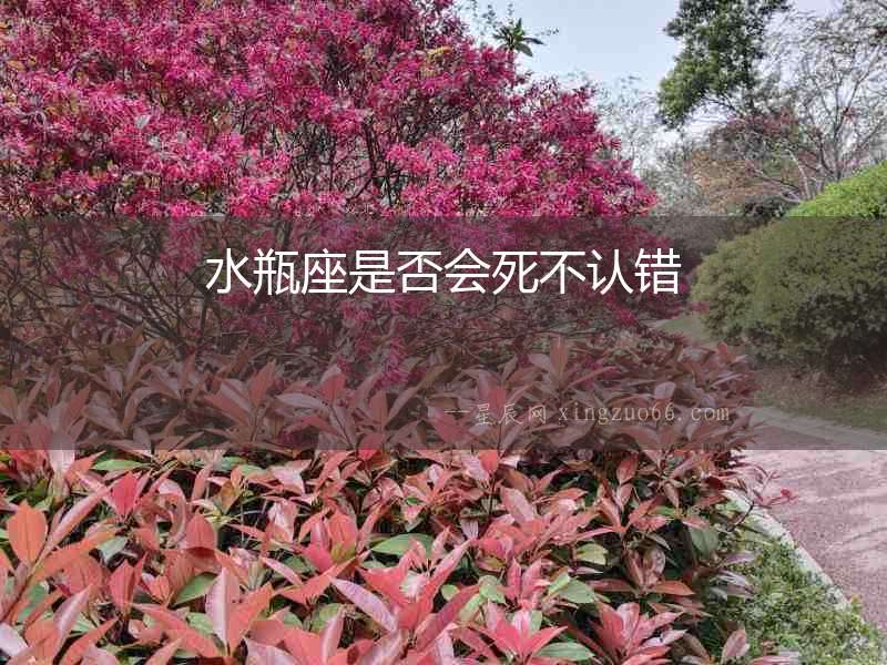 水瓶座是否會(huì)死不認(rèn)錯(cuò)