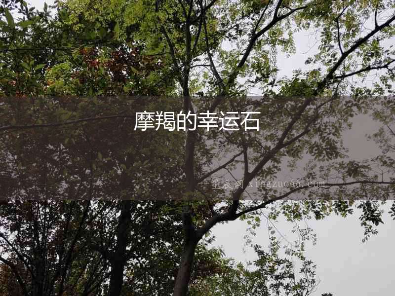 摩羯的幸運石