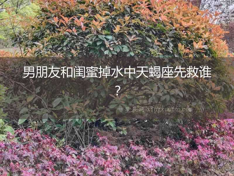男朋友和閨蜜掉水中天蝎座先救誰(shuí)？