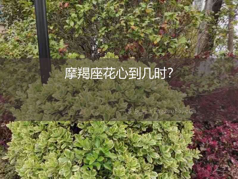 摩羯座花心到幾時？