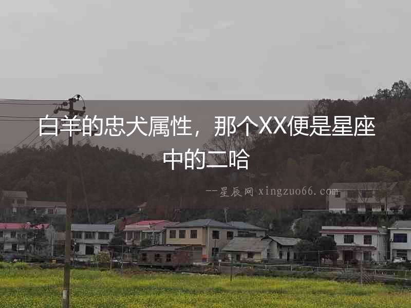 白羊的忠犬屬性，那個(gè)XX便是星座中的二哈