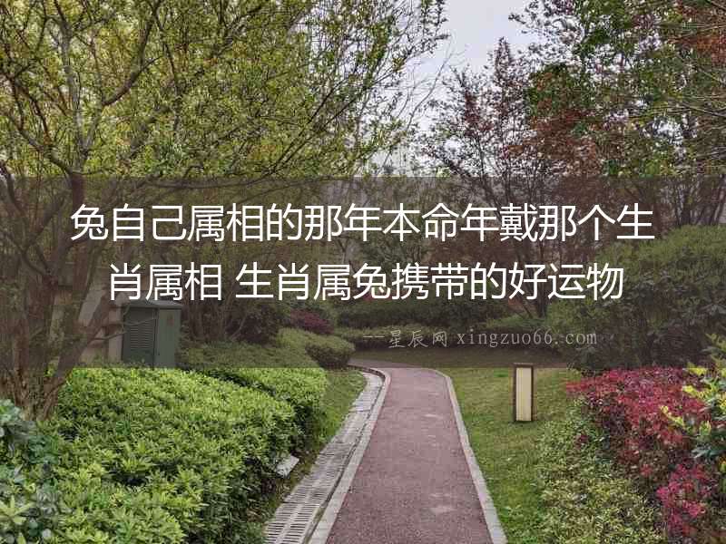 兔自己屬相的那年本命年戴那個生肖屬相 生肖屬兔攜帶的好運物
