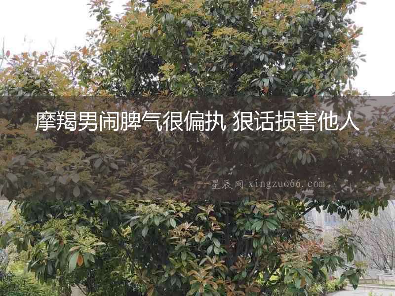 摩羯男鬧脾氣很偏執(zhí) 狠話損害他人