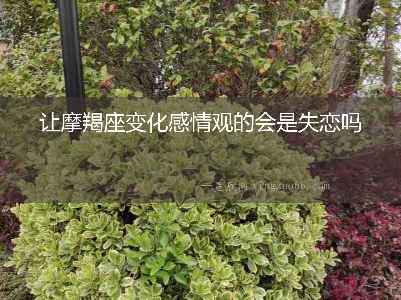讓摩羯座變化感情觀的會(huì)是失戀嗎