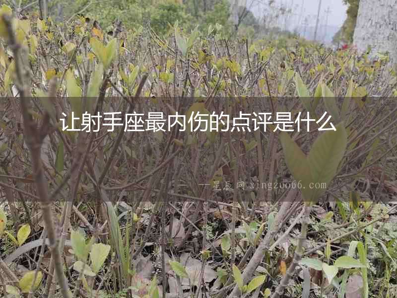 讓射手座最內(nèi)傷的點(diǎn)評(píng)是什么