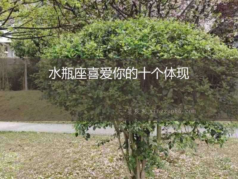 水瓶座喜愛你的十個(gè)體現(xiàn)