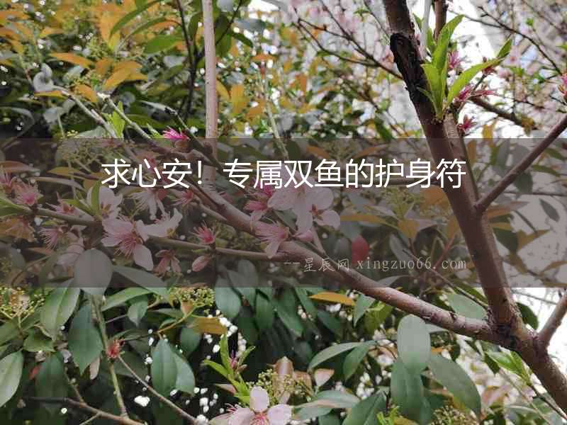 求心安！專屬雙魚的護身符